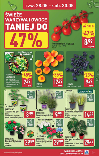 ALDI