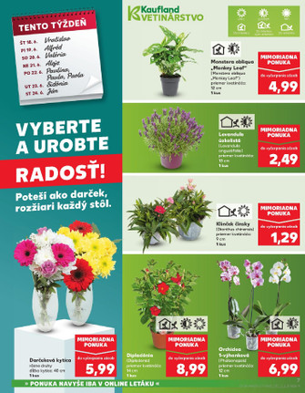 Kaufland