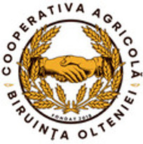 BIRUINȚA OLTENIEI