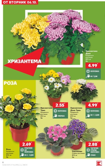 Kaufland