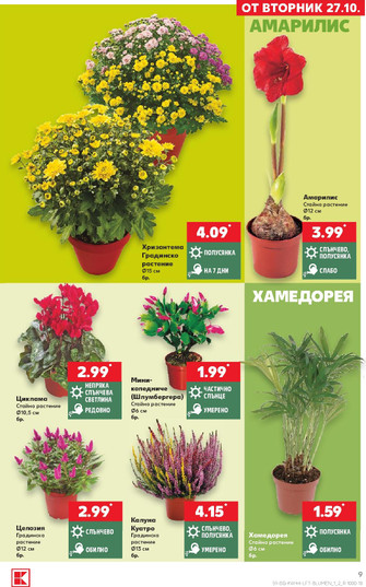 Kaufland