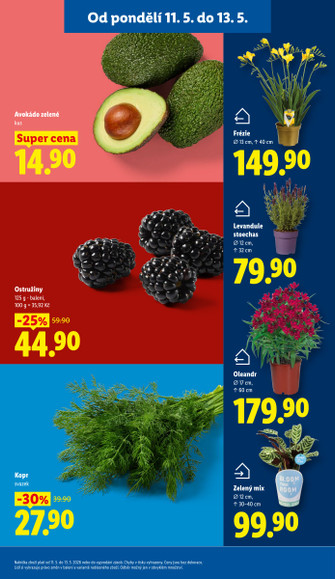 Lidl.cz