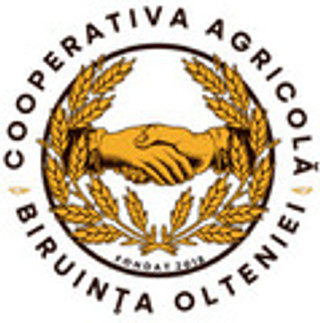 BIRUINȚA OLTENIEI