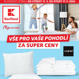 Kaufland - Vše pro vaše pohodlí