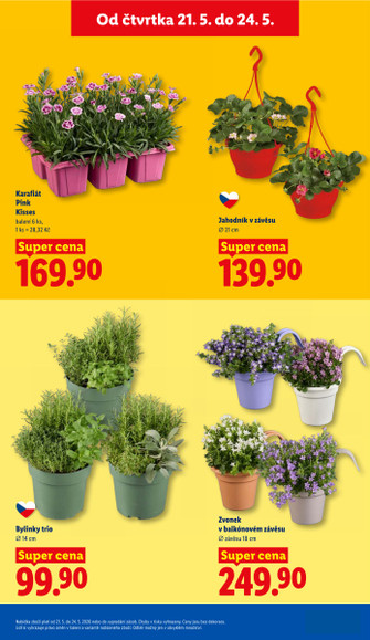 Lidl.cz