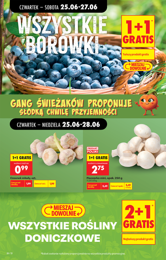Biedronka