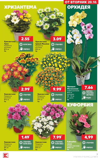 Kaufland