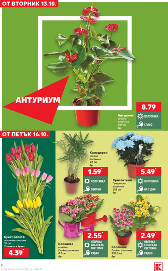 Kaufland
