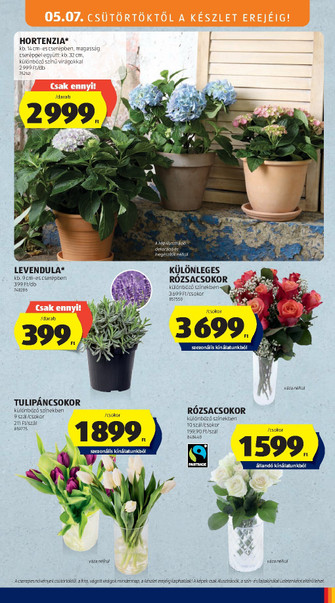 Aldi