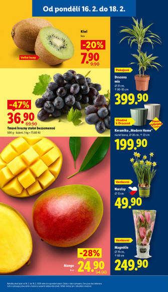 Lidl.cz