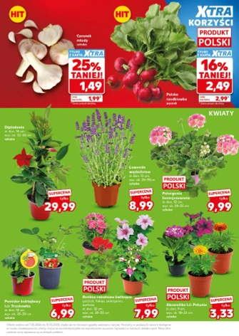 Kaufland
