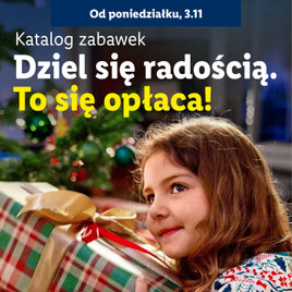 Lidl - Katalog Zabawki