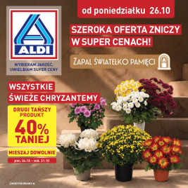 ALDI - Znicze i stroiki
