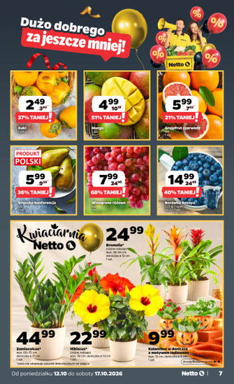 Netto