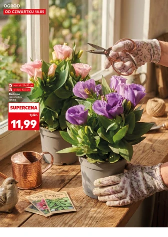 Kaufland