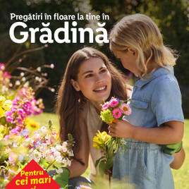Lidl - Grădină