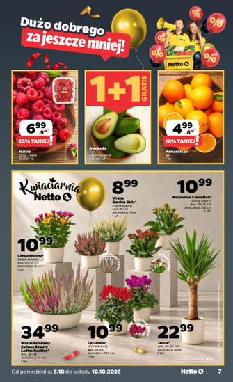 Netto