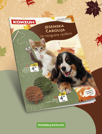 Konzum