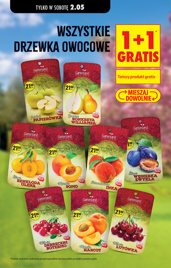 Biedronka