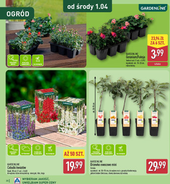 ALDI