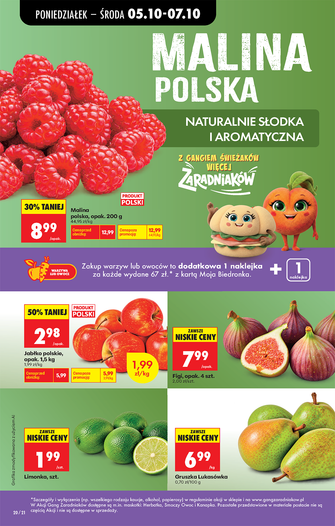Biedronka