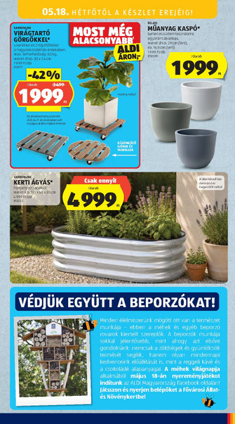 Aldi