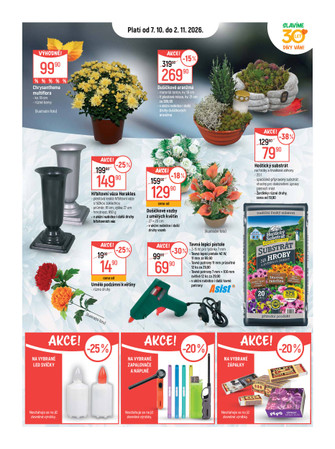 Globus