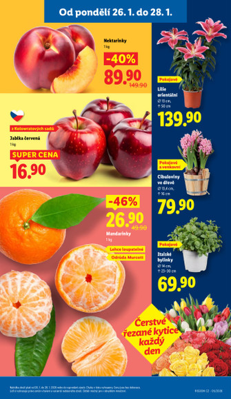 Lidl.cz