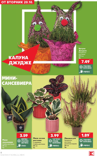 Kaufland