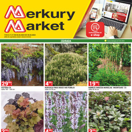 Merkury Market