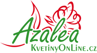 Azalea - kvetinyonline.cz