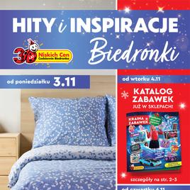 Biedronka - Hity i inspiracje