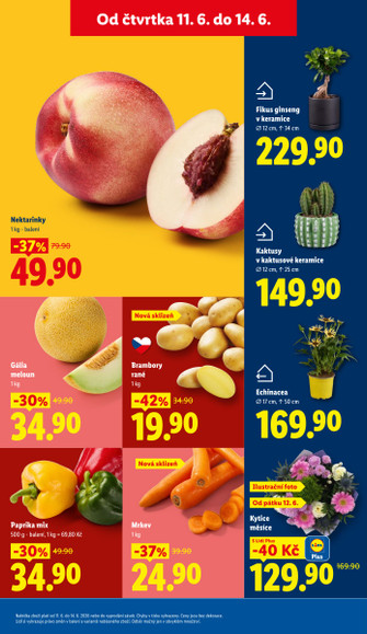 Lidl.cz