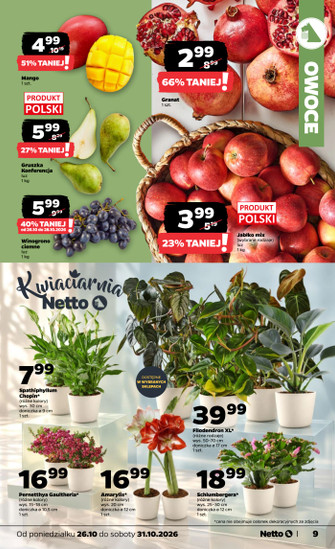 Netto