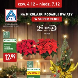 ALDI - Na Mikołajki podaruj kwiaty
