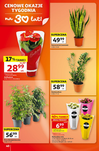 Auchan