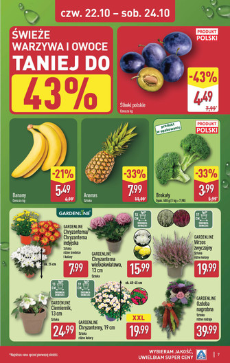 ALDI