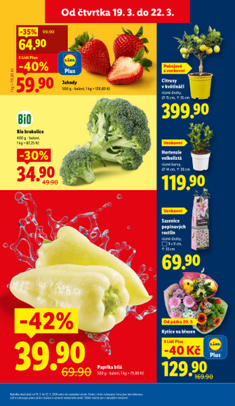 Lidl.cz