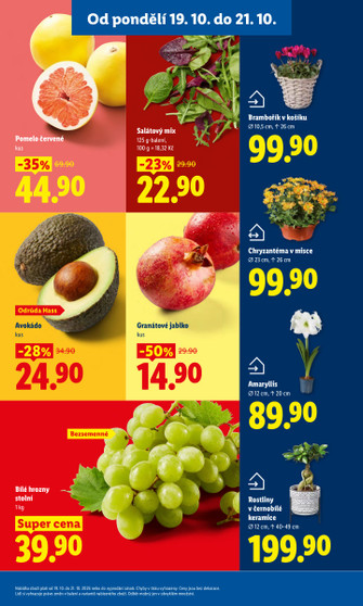 Lidl.cz