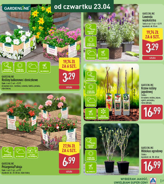 ALDI