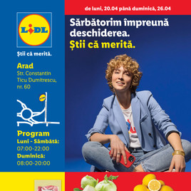Lidl - Arad