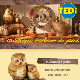 TEDi