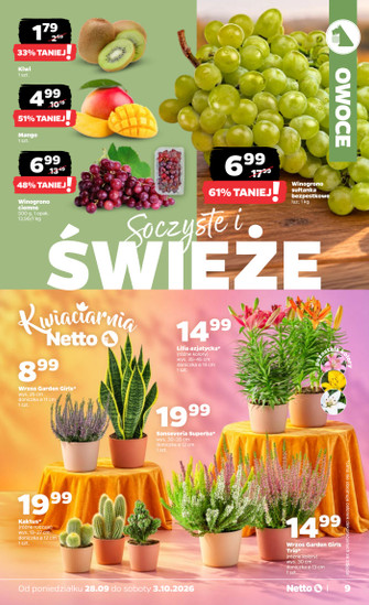 Netto
