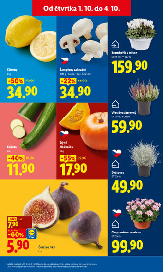 Lidl.cz