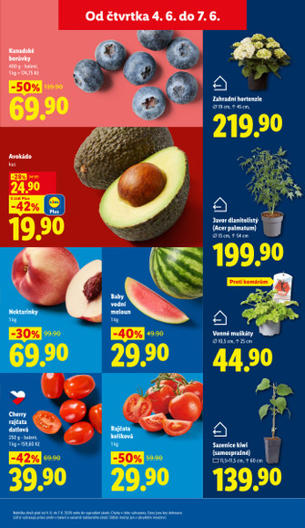 Lidl.cz