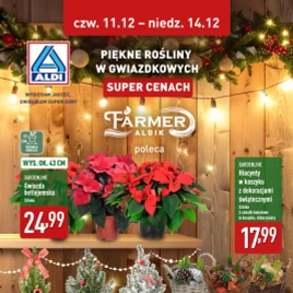 ALDI - Piękne rośliny na gwiazdkę