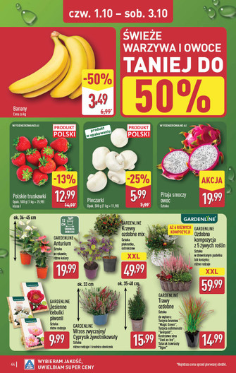 ALDI