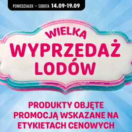 Biedronka - Wyprzedaż lodów