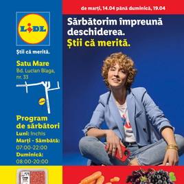 Lidl - Satu Mare