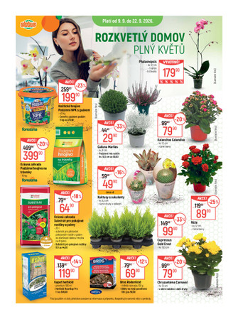 Globus